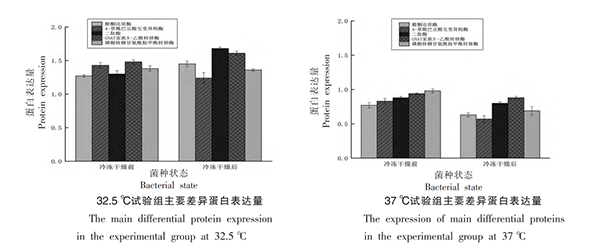 ΢ͼƬ_20241125082717