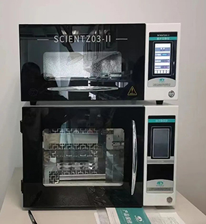 ΢ͼƬ_20241125084238