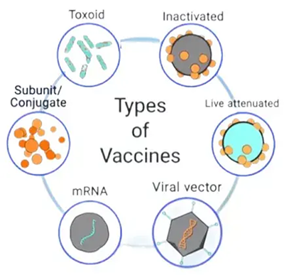 ΢ͼƬ_20241125180200