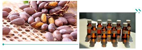 ΢Žͼ_20241125182258