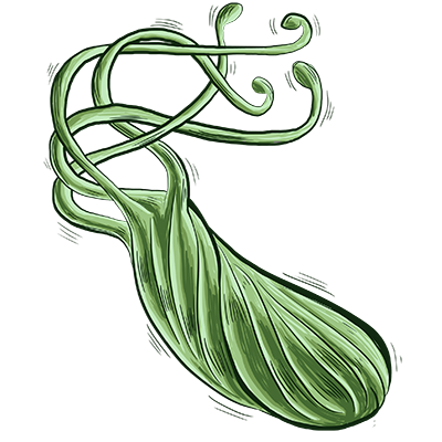 ΢ͼƬ_20241126102150