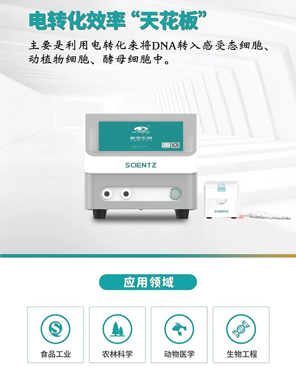 ΢ͼƬ_20250825083644